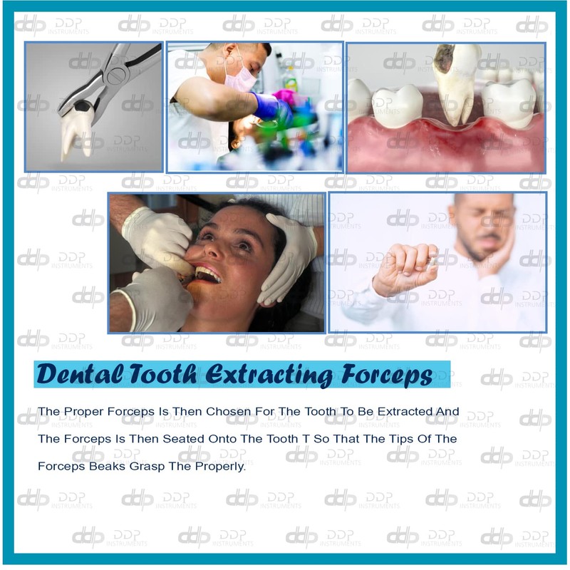 DDP Dental Tooth Extracting Forceps # 86