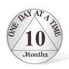 AtSKnSK 10 Months Sobriety Coin 1-12 Months Sobriety Coin AA