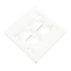 DIYTECH Keystone Wall Plate, 2 Gang Keystone Wall Plate, 4