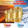 Boltigen 2Pcs 1in NPT Spring Check Valve, Brass Non Return