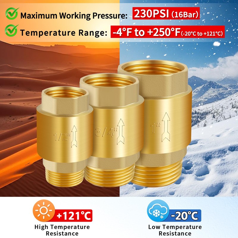 Boltigen 2Pcs 1in NPT Spring Check Valve, Brass Non Return