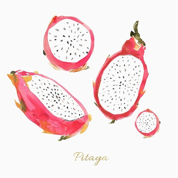 Posterazzi Collection Pitaya Poster Print by Isabelle Z (12 x