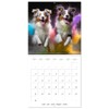 Dynamic Duo - Two Paws, One Leap (Wall Calendar 2025