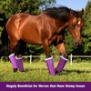 Harrison Howard Loose-Fitting Horse Fly Boots UV-Protective, Breathable, Tear-Resistant Fine