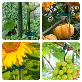 heyfurni Garden Clips for Climbing Plants Outdoor,50pcs Large Plant Clips & 20pcs Small Rose Clips for Garden Arch Trellis Support,Tomato Clips for Vines,Vegetable,Tomatoes,Flowers,Green