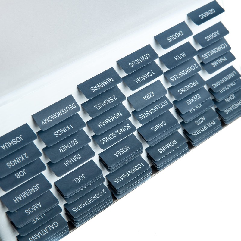 DiverseBee Laminated Bible Tabs (Large Print, Easy to Apply), Bible