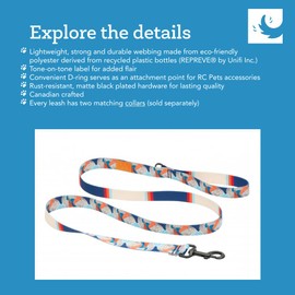 RC Pets Eco Leash | 5ft Dog Leash with Durable Grip, 3/4-Inch Wide Eco Webbing | Cherry Picnic