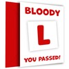 Congratulations Passed Driving Test Card for Him or Her -