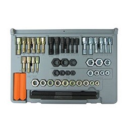 LNG-971 SAE and Metric Thread Restorer Kit - 48 Pieces