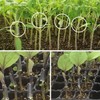 RIRAI Grafting Clips, Each Size, 30 Pieces (Total 90 Pieces),