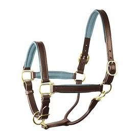 1" COB HAV/SLATE PADDED HALTER