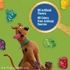 Scooby-Doo Fruit Flavored Snacks, Gluten Free, Kids Snacks, Value Pack,