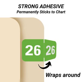 2026 Year Labels, Doctor Stuff 2026 Chart Stickers, Light Green Color Coded, Tabbies 70200 Style, USA Made Year Stickers for End Tab File Folders, 500/Roll, 1 Roll, 3/4" x 1-1/2"