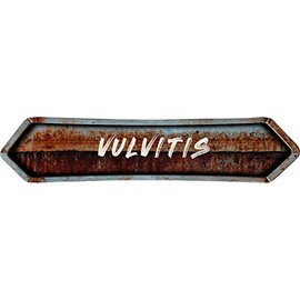 ANY AND ALL GRAPHICS Vulvitis 4"x18" Painted Lettering Look Rusted Double Point Style Antique Vintage Look Composite Aluminum Novelty décor Sign.