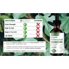 [2-Pack] Liquid Chlorophyll Drops - All-Natural Concentrate – Immune System