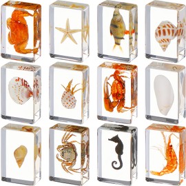 12 Pcs Insect in Resin Specimen Bugs Collection Paperweights Arachnid Resin Specimen Different Insect Specimen Bug Preserved in Resin for Kids Scientific Educational Toy, 12 Styles (Ocean Theme)