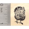 RubberHedgehog Turkey Rubber Stamp, Thanksgiving Bird, Wildlife, Small D25125 WM