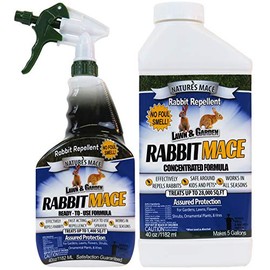 Nature’s MACE 40oz Rabbit Repellent Spray & Concentrate, Covers 29,400 Sq Ft, Rabbit Deterrent for Garden, Rabbit Repellent Outdoor, Rabbit Repellent for Garden, Safe for Dogs, Pets, People, & Plants