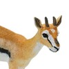 Safari Thomson Gazelle Animal Figure 227029