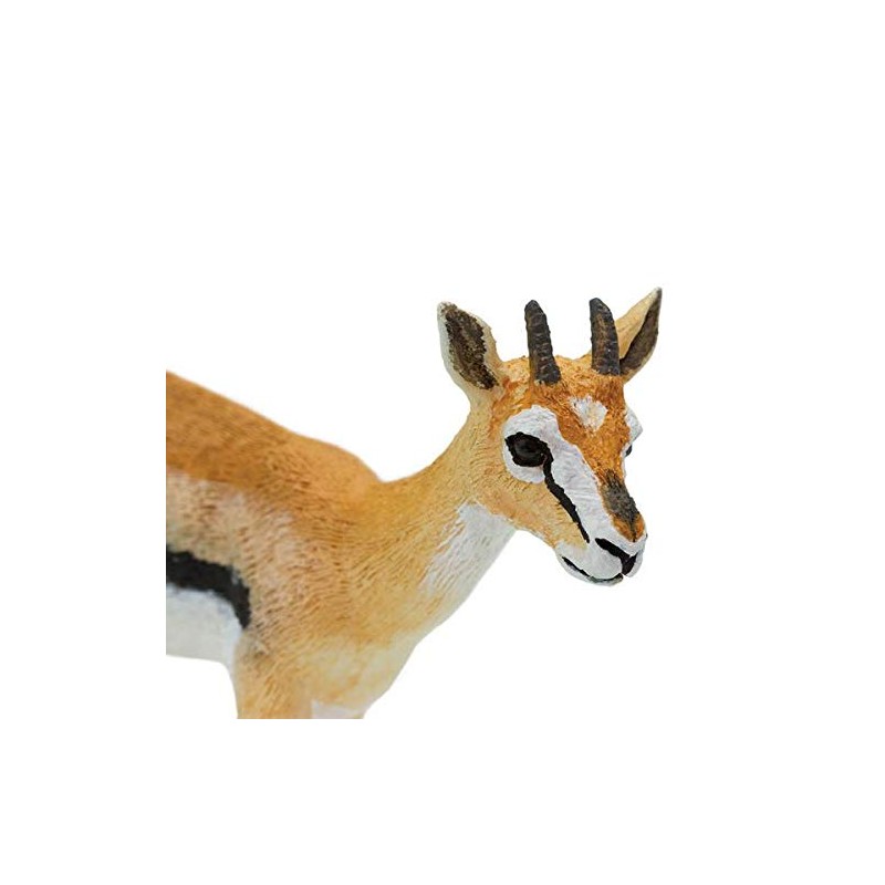 Safari Thomson Gazelle Animal Figure 227029