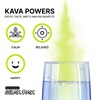 Lemonade Kava Extract Drink Mixes:_Lemonade Kava Drink Mix (10)