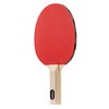STIGA Beginner Ping Pong Paddles - Recreational to Performance Table