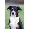 Adjustable Dog Bandana Set - Clip-On Pet Neck Scarf, Flowers&Butterflies