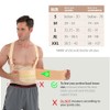 Neotech Care Back Support Belt with Braces for Work -