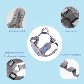 D.QingPei Dog Harness with Leash Set,No Pull Adjustable Vest Harness,Lightweight Easy Walk Dog & Cat Harness,Pet Harnesses Reflective for Puppy Small Medium and Large Dogs and Cats (Blue, M)