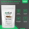 ecoEat Edible Insects Big Black Crickets to Eat – Edible