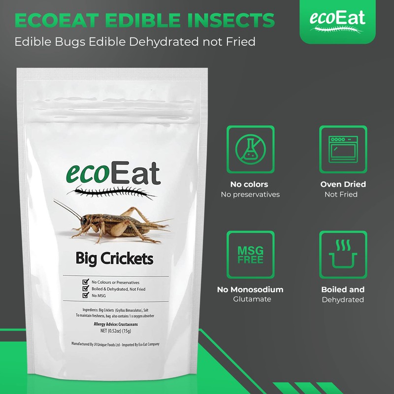 ecoEat Edible Insects Big Black Crickets to Eat – Edible