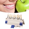 Teeth Whitening Shade Guide 29 Colors Comparison Individually Removable Tooth