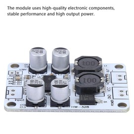 TPA3110 Mono Channel Digital Power Amplifier Board, 30W 8‑26VDC PBTL High Power Mono Digital Amplifier Board
