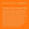 Andalou Naturals Pumpkin Honey Glycolic Mask, Brightening & Exfoliating Face