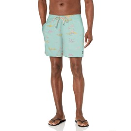 Quiksilver mens 17 Inch Elastic Waist Swim Trunk Bathing Suit Board Shorts, Blue Light Island Breeze, Medium US