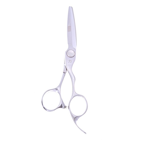ShearsDirect Pro 5.5 inch Dry Cut Shear Scissors, Sword Blade, 3.5 Ounce