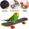 Roczential Parakeet Toy, Bird Toy, Skateboard Toy, Pet Supplies, Parrot