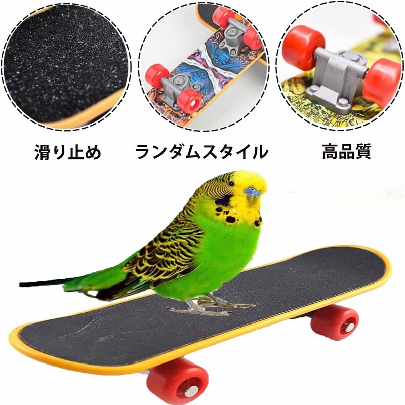 Roczential Parakeet Toy, Bird Toy, Skateboard Toy, Pet Supplies, Parrot
