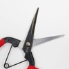 Geely Harvesting Shears with Guard Made in Japan, Harvesting Fruits