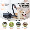 Happybuy Dog Dryer: A 2000W/2.7HP Powerhouse for Pet Grooming. Featuring