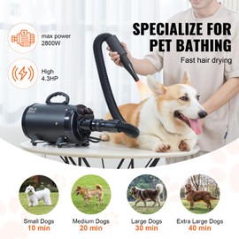 Happybuy Dog Dryer: A 2000W/2.7HP Powerhouse for Pet Grooming. Featuring Adjustable Speed and Temperature Control, Along with 4 Nozzles and an Extendable Hose