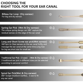 Hion 6 Pcs Extended Ear Wax Removal Kit,Professional Double-Headed Ear Pick Earwax Removal Tools,316L Stainless Steel Ear Cleaner Curette with Cleaning Brush and Storage Box,Suit for Kid Adult(Gold)