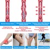 Ted Hose Compression Stockings - Anti Embolism Compression Stockings -