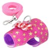 Stock Show Small Pet Outdoor Walking Harness Vest and Leash