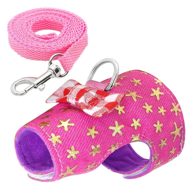 Stock Show Small Pet Outdoor Walking Harness Vest and Leash