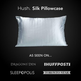 Hush Silk Pillowcases Pure Mulberry Silk - Anti-Aging, Wrinkle Prevention - Cool & Hypoallergenic - Silk Pillow Cases - Machine Washable - Light Blue