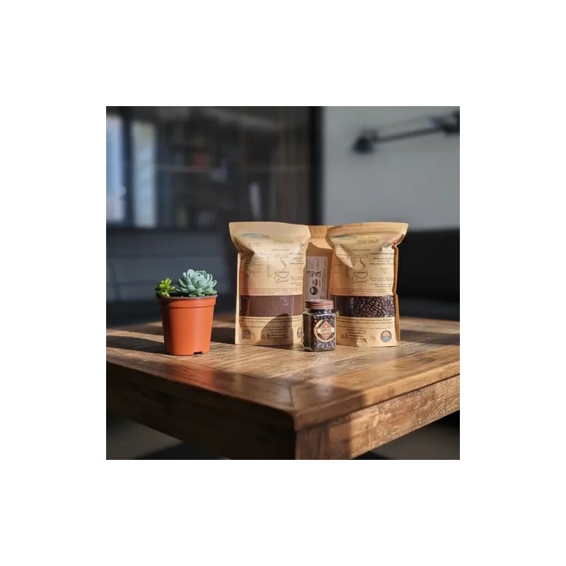 Café De Chiapas 100% De Altura Tostado Artesanal Molido 1kg