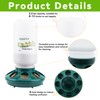 ZenxyHoC Chick Feeder and Waterer Kit, 1L Chick Feeder and
