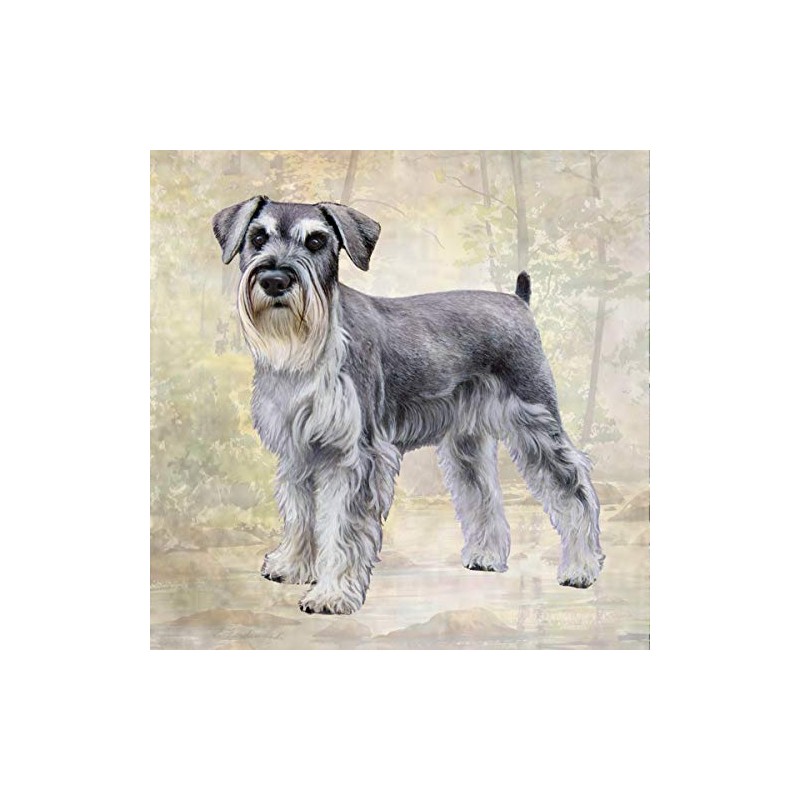 Schnauzer Absorbent Stone Coaster - Cork Back helps prevent scratches