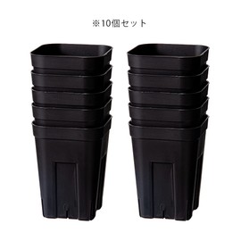 TUC Prestella Deep Pots 105 Slit Plastic Pots 10 Pcs